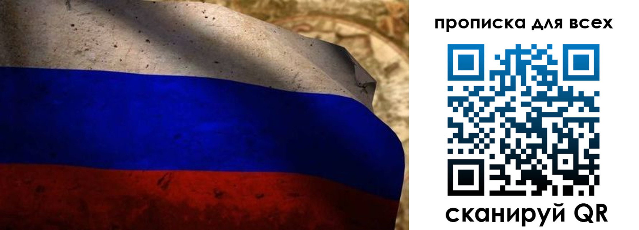 временная регистрация гарантия в Курской области